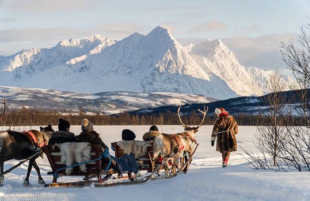 Reindeer Sledding and Feeding with Sami Culture in Tromso.