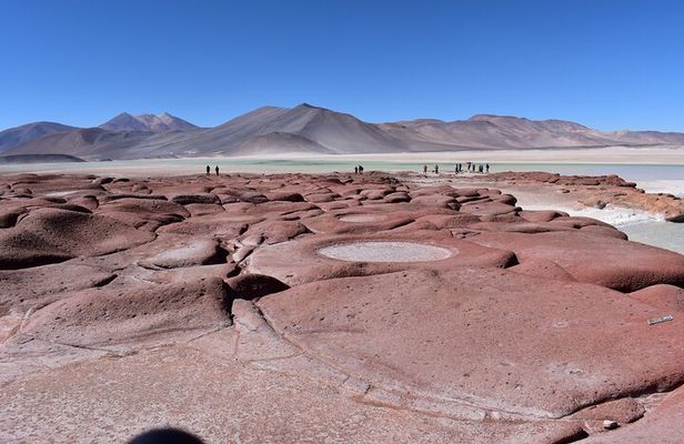 Full Day Tour Piedras Rojas Altiplanic Lagoons Chaxa Lagoon