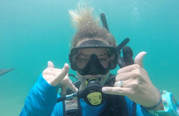 Discover Scuba in Rincon | Expert Guides, Small Groups