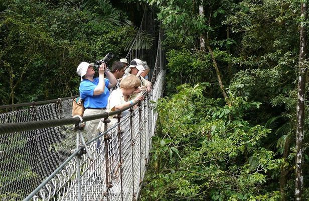 1 Full Private Tour to Arenal Volcano + Baldi Hot Springs