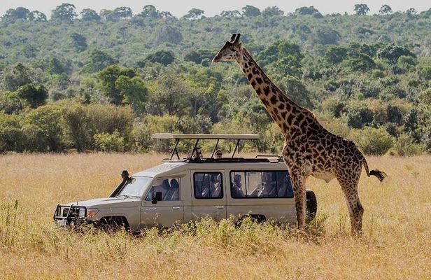 5 Days Budget Joining Adventure Camping Safari