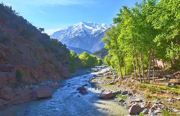 Full Day Excursion Tour to Ourika Valley
