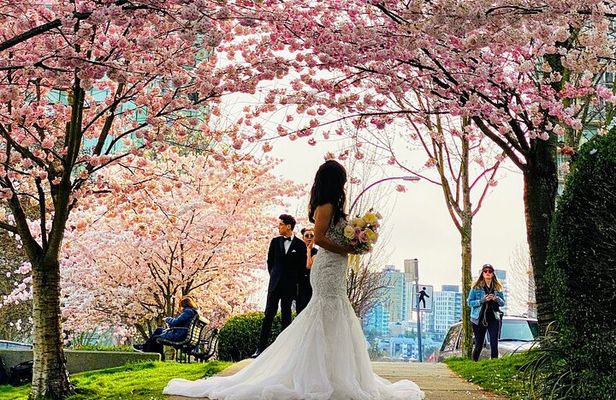 Vancouver City Tour with Cherry Blossom Festival Private