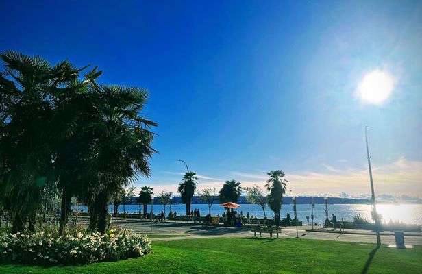 Private Vancouver ALL IN ONE Full Day City Tour with 20 Attractions