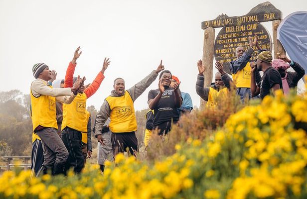 Climbing Kilimanjaro through 8 days Lemosho Route