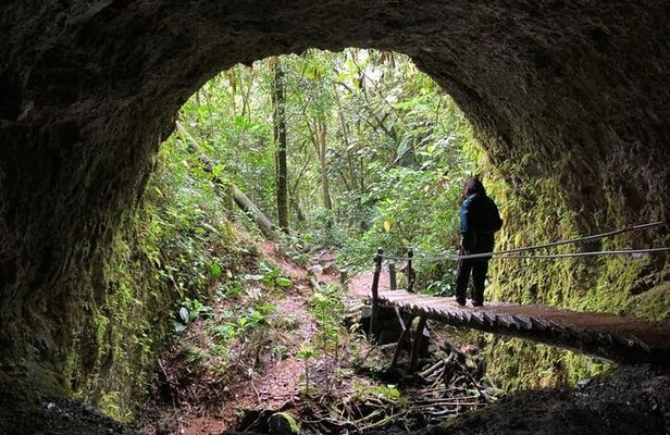 Santa Rita Waterfall and Salento Hike Tour