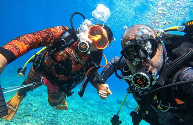 Discover Scuba Diving in Tenerife