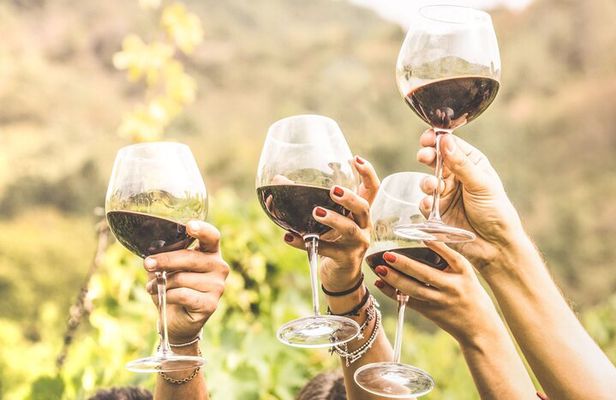 Private Full-Day Cultural Wine Tour in Historic Ithaca