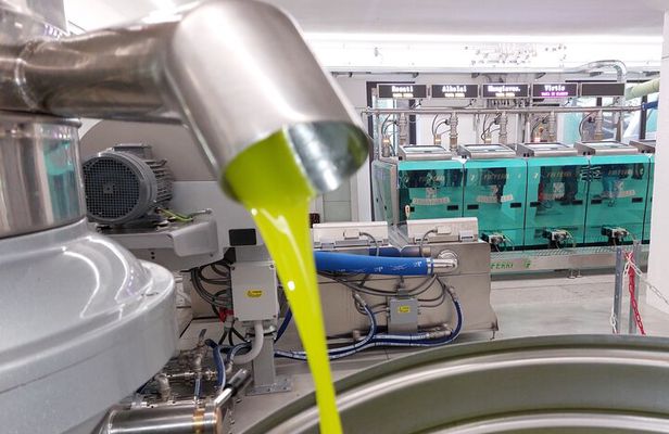 TOUR and TICKETS, VISIT TO THE MILL AND EVO OIL TASTING