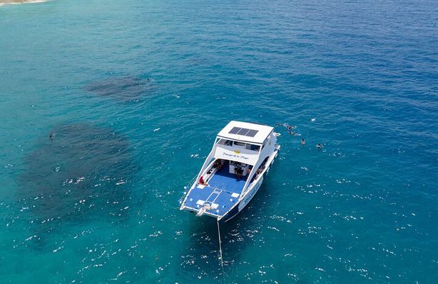 Sosua Party Boat - Snorkeling + Snack +BBQ Food and Drinks