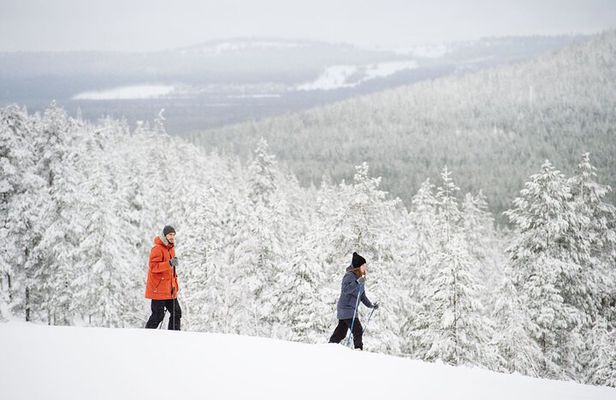 Premium Wilderness Skiing in Pyhä-Luosto National Park