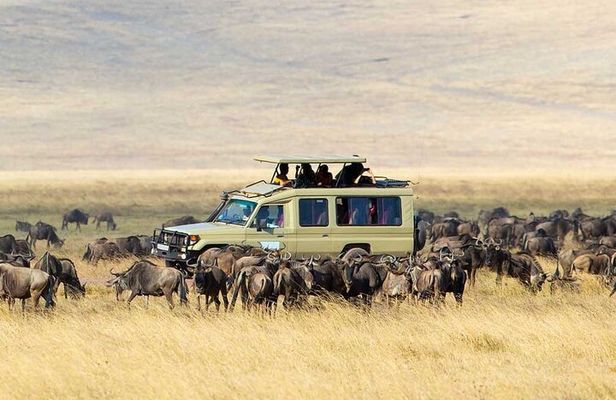 5 Day Mid Range Balloon Safari Tarangire, Ngorongoro & Serengeti