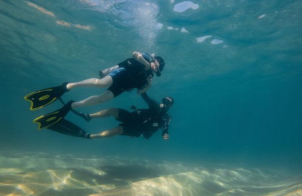 Private Beginner Scuba Diving Experience in Cabo San Lucas