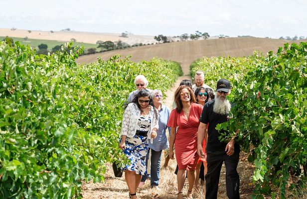 2h Wine Experience, Vineyard walk, 6 wines, charcuterie board