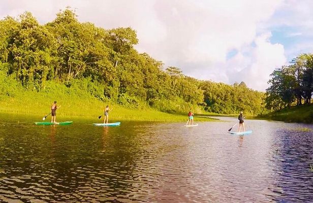 Paddle Board Private Tour Nuevo Arenal, Lake Arenal