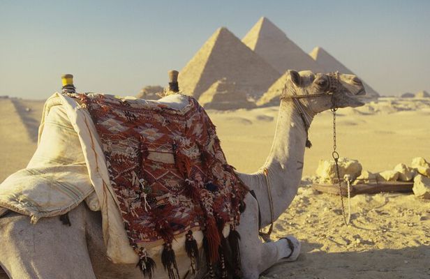 Private Tour Giza Pyramids, Sakkara, Memphis, Lunch & Camel Rides