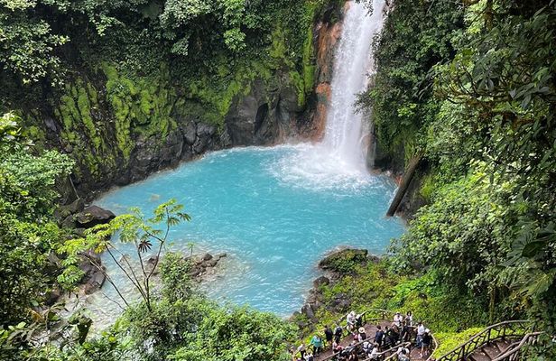 Rio Celeste Waterfall and Sloth Sanctuary Experience