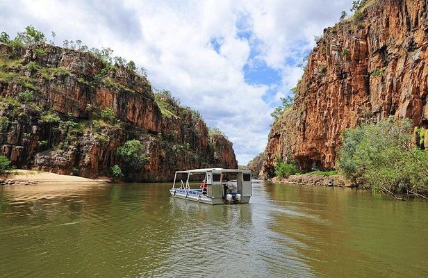 Litchfield Day Tour + Adelaide Croc Cruise