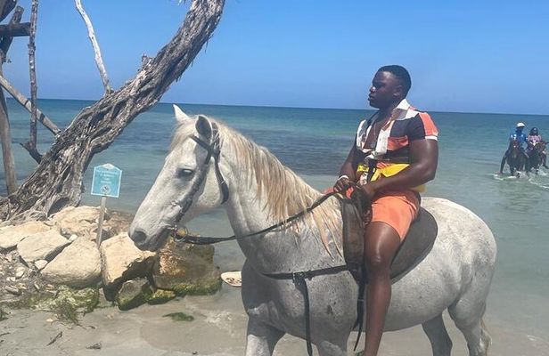 Private Horse Back Riding and Blue hole from Montegobay