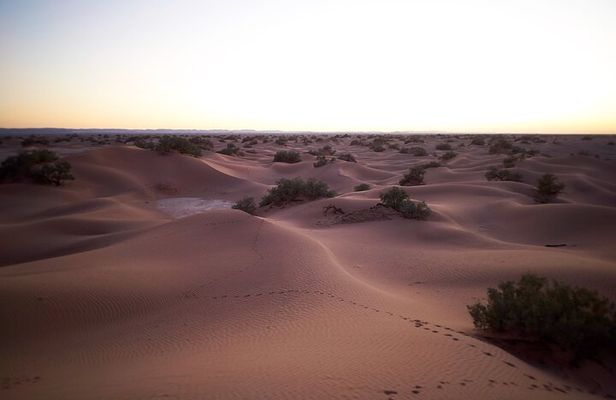 5-day trek - In the Draa Valley
