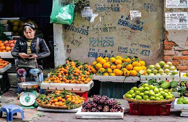Hanoi Luxury Full-Day Group Tour (max 8 pax - Mon and Fri)