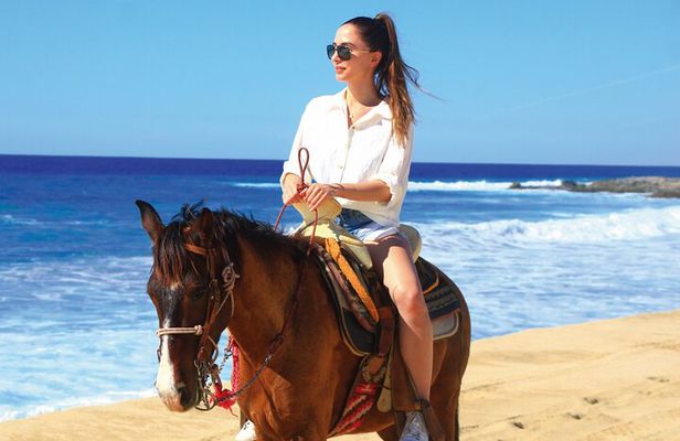 Horseback Riding Beach and Desert Adventure
