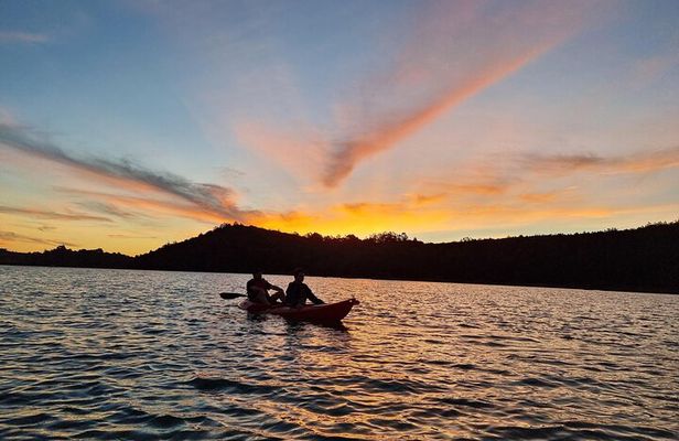 Bioluminescence Kayak Tour - Est. 1994