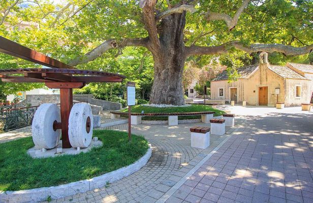 2-Hour Guided Walking Tour in Mlini