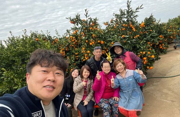 Small group tour FULL - PACKAGE Tour to All Areas in Jeju Island