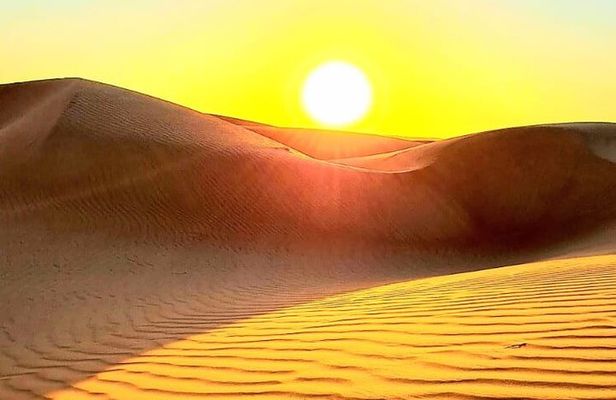 Watching Sunrise in Wahiba Sand Desert - Early Morning Tour