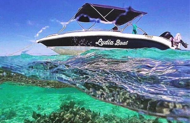 Lydia Boat Mauritius :Private boat tour:Whales&Dolphins encounter