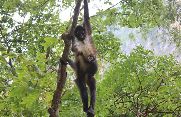 Day trip to Sian Ka'an Biosphere from Playa del Carmen