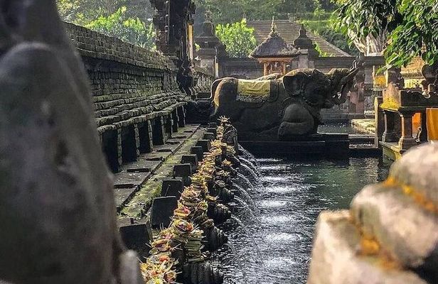 Sacred Spring Experience - Ubud Tour