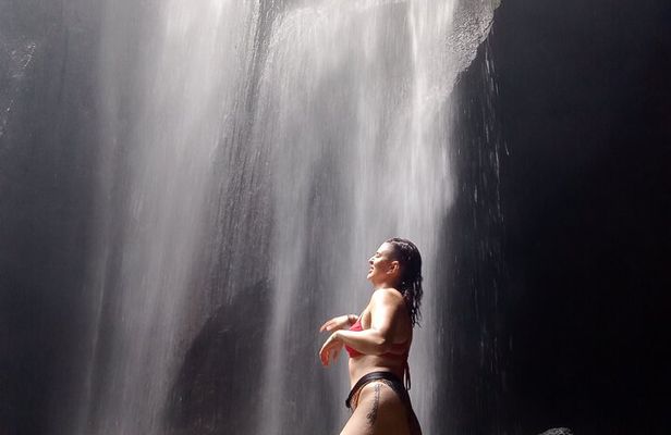 Ubud : Hidden Gems Waterfalls and Private tour