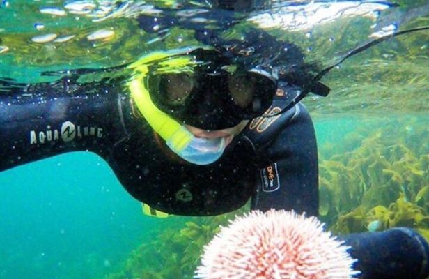 Lofoten Grand Canyon Snorkeling Tour