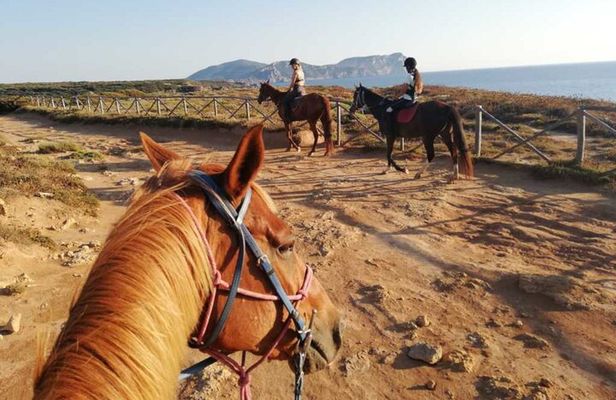 Alghero: horseback ride in Porto Ferro and Lake Baratz