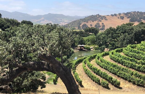Unique Santa Barbara Wine Country Private Wine Tours and Tastings