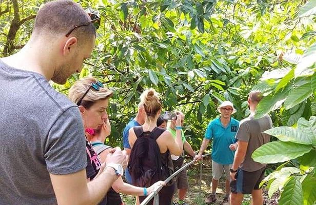 Chocolate and Coffee Tour Farm Don Jorge