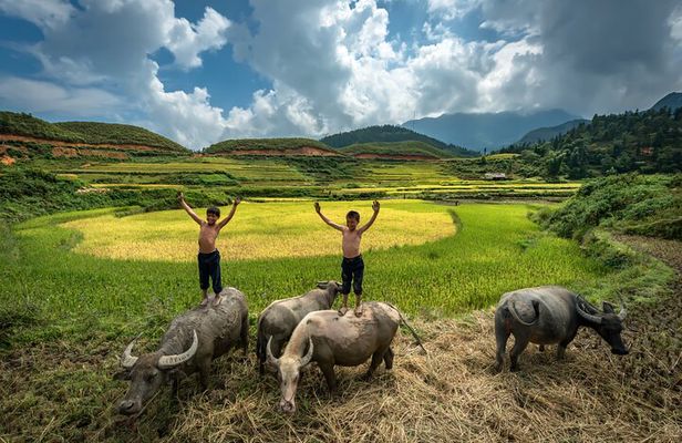 Ninh Binh Group Tour of 11 from Hanoi via Mua Cave Tam Coc Hoa Lu