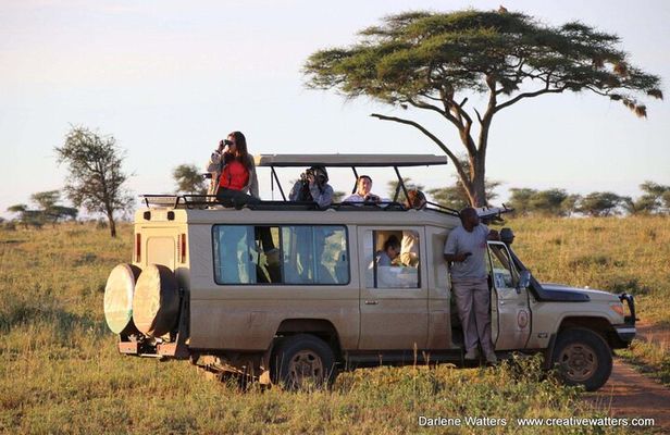 5 Days Serengeti Camping Safari
