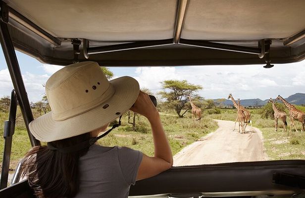 2 days Majestic Tanzania safari Tarangire and Ngorongoro Crater