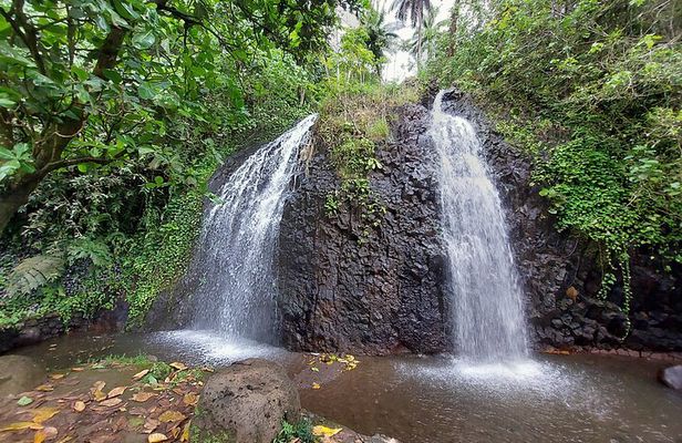 Tahiti Half Day Coastal Private Tour