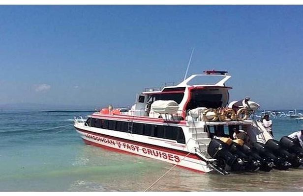 West Nusa Penida Full-Day Private Tour