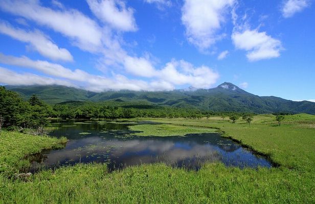 3hours Nature Guided Tour in Shiretoko Five Lakes