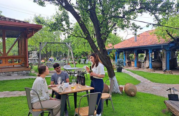 Kakheti - Small wineries and family-cooked lunch • Private tour