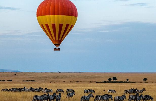 6 Days Private Midrange Tour of Tanzania Safari