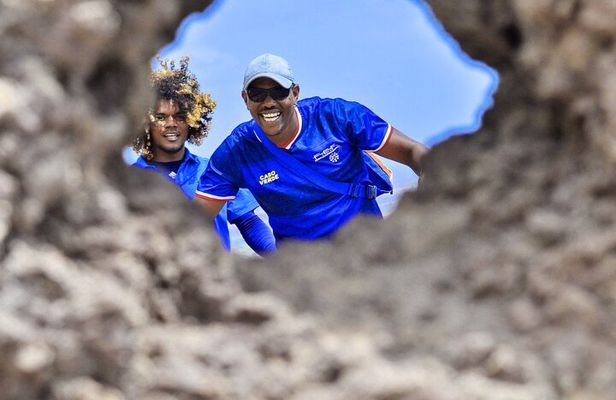 BEST VALUE small group island tour w/SHARK experience & salt lake
