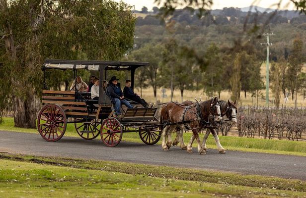 3- Hour Wine and Harvest the Hunter Horse Tour in Pokolbin