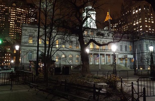 Lower Manhattan 2-Hour Tour