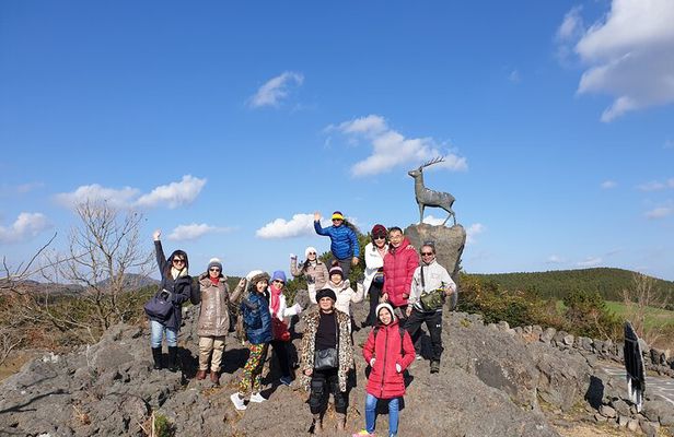3 days Private Taxi Tour in Jeju Island 
